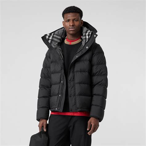 burberry coat men's puffer